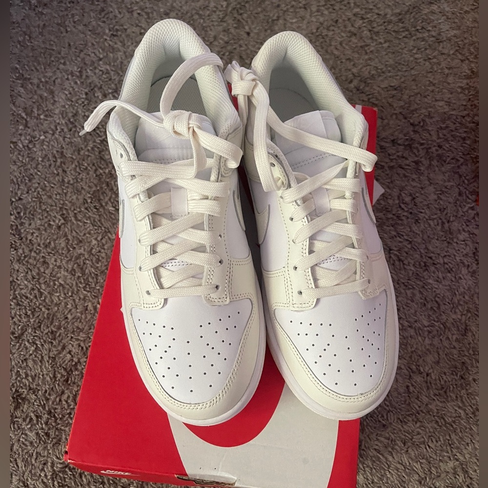 Nike Dunk Low Retro (Coconut Milk)
